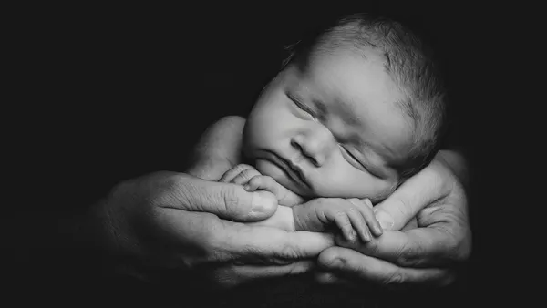 Newborn