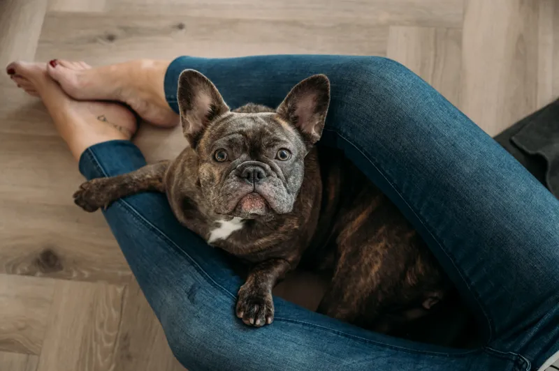 dieren_website_2022_14_DSC9440_Pip&Teddie